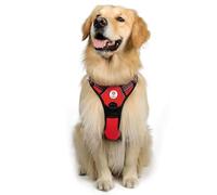 PET SHOP ANIMAL CARE Arnes Y Correa Perro Grande - Arnes De Lujo Talla M para Mascotas Adultos - Tela Oxford Resistente, Acolchado Suave, Correas Elásticas para Mayor Comodidad Y Circulación