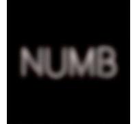 Pet Shop Boys - Numb [Vinilo]
