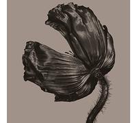 Pet Shop Boys - Release (2017 Remaster) [Vinilo]