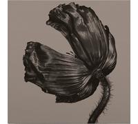 Pet Shop Boys - Release (Remastered) (LP)