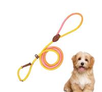Pet Strap, Puppy Walk Strap, No-Pull Nylon Rope, Anti-Slip Grip, High-Strength Build, Comfortable Fit, for Outdoor Walking, Camping with Small Medium Dogs, 59.06x0.31x0.04 Inches
