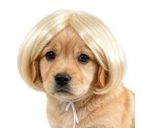 Pet Wig - Dog Headwear | Funny Human Style Bangs, Adjustable Size