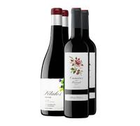 Pétalos 2023 (x2) y Camins del Priorat 2023 (x2)