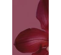Petals & Pages: A Notebook for Your Blooming Ideas: Unlock Your Potential and Live the Life You Deserve