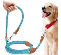 PETCOOZ Correa para Perros Doble Enganche, Correa Perro 3 m Ajustable de Adiestramiento, Correa Larga para Perros Pequeños a Grandes para Caminar, Correr, Entrenar, Azul Claro