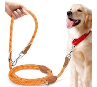 PETCOOZ Correa para Perros Doble Enganche, Correa Perro 3 m Ajustable de Adiestramiento, Correa Larga para Perros Pequeños a Grandes para Caminar, Correr, Entrenar, Naranja