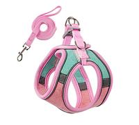 PETCUTE Arnes para Gatos Antiescape con Correa,Arnés Gato a Prueba de Escape con Tira Reflectante,Transpirable Cómodo,Chaleco de Seguridad para Gatos Cachorros