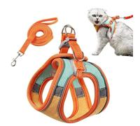 PETCUTE Arnes para Gatos Antiescape con Correa,Arnés Gato a Prueba de Escape con Tira Reflectante,Transpirable Cómodo,Chaleco de Seguridad para Gatos Cachorros