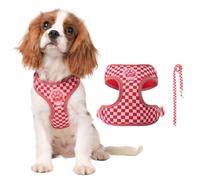PETCUTE Arnes para Perro con Correa,Ajustable y Transpirable,Sin Tirar,L