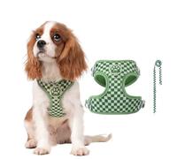 PETCUTE Arnes para Perro con Correa,Ajustable y Transpirable,Sin Tirar,M