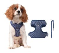 PETCUTE Arnes para Perro con Correa,Ajustable y Transpirable,Sin Tirar,M