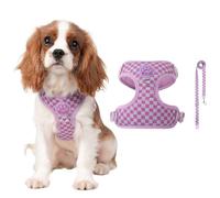 PETCUTE Arnes para Perro con Correa,Ajustable y Transpirable,Sin Tirar,XL