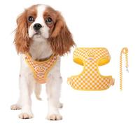 PETCUTE Arnes para Perro con Correa,Ajustable y Transpirable,Sin Tirar,XL