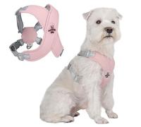 PETCUTE Arnes Perro Pequeño con Correa, Arnes Perro Antitirones con Lineas Reflectantes, Cómodo Transpirable Acolchada Ajustable Arneses Tipo Chaleco para Perros para Adiestramiento,Paseo