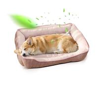 PETCUTE Cama Ortopédica para Perros, Sofá Cama para Mascotas, Acolchado Suave, Lavable Colchon Perro con Bordes Elevados con Fondo Antideslizante,Refrescante,Adecuado para el Verano(Rosado,M)