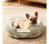 PETCUTE Cama para Perros Grandes,Medianos y Pequeños,Lavable,Cama Ortopédica para Perros,Bordes Elevados,Super Suave,Camas para Mascotas con Fondo Antideslizante,Verde,XL