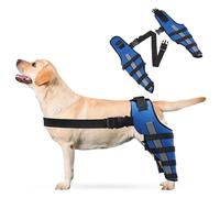 PETCUTE Rodillera Ajustable para Perros con Banda Reflectante -Condroprotector Perros, Soporte Terapéutico para Patas Traseras, Alivio de Dolor Articular y Muscular-S(Azul)