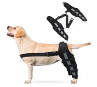 PETCUTE Rodillera Ajustable para Perros con Banda Reflectante -Condroprotector Perros, Soporte Terapéutico para Patas Traseras, Alivio de Dolor Articular y Muscular-M(Negro)