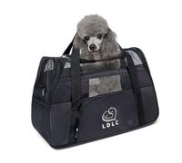 PETCUTE Transportín Perro Gato, Transpirable y Portátil Bolsa de Transporte para Mascotas,Portador de Viaje con Correa de Hombro Ajustable y Cinturón de Seguridad Interno para Tren/Coche/Avión