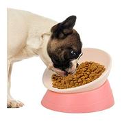 Petdoer Bulldog Bowl inclinado elevado, antideslizante, sin derrames, alimentos, agua, para perros, francés, cachorro, cachorro, Shih Tzu (rosa)