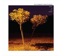 Pete Herbert & Martin Denev - Made In The Shade [Vinilo]
