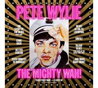 Wylie, Pete & the Mighty Wah! - Teach Yself WAH! - A Best of Pete Wylie & The Mighty WAH!