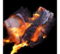 Peter Alexander Jobson - Burn The Ration Books Of Love [Vinilo]