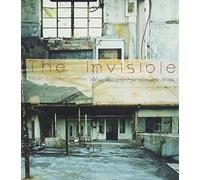 Peter Epstein - Peter Epstein: the Invisible