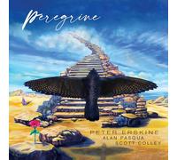 PETER ERSKINE & ALAN PASQUA & SCOTT COLLEY - PEREGRINE (BLACK ULTRA VINYL 140G) [Vinilo]