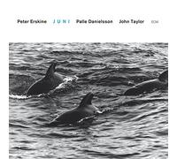 Peter Erskine - Juni