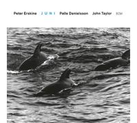 Peter Erskine Trio Juni (CD) Album (Importación USA)
