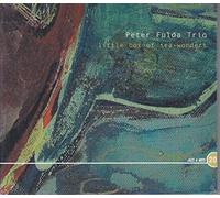 Peter Fulda - Little Box of Sea
