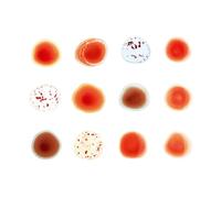 peter gabriel - And I´ll Scratch Yours (Deluxe)