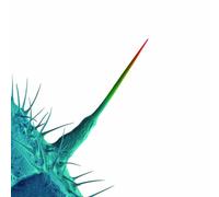 Peter Gabriel - And Ill Scratch Yours