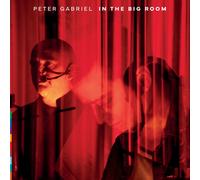 Peter Gabriel In the Big Room (Vinyl) 12" Album