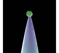 Peter Gabriel New Blood (CD) Album (Importación USA)