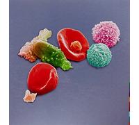 Peter Gabriel - New Blood: Live In London [USA] [Blu-ray]