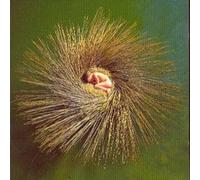 Peter Gabriel Ovo (CD) Album (Importación USA)