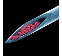 Peter Gabriel - Peter Gabriel - Live Blood (2CDS) [Japan CD] VQCD-10309