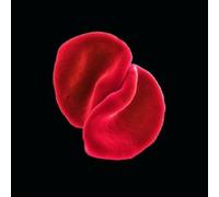 Peter Gabriel Scratch My Back (CD) Album (Importación USA)