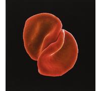 peter gabriel - scratch my back (yellow barcode)