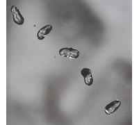 Peter Gabriel - Up