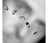 peter gabriel - up