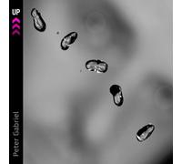 peter gabriel - up