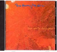 Peter HAMMILL - There Goes The Daylight