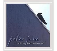 Peter June - Solitary Bird on The Roof
