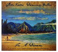 Peter Kater & Dominic Mi - In a Dream