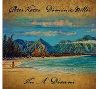 Peter Kater - In A Dream