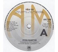 Peter McCann - Do you wanna make love (1977) / Vinyl single [Vinyl-Single 7'']