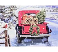 Peter Pauper Press Bringing Home the Tree Deluxe Boxed Holiday Cards (20 cards, 21 self-sealing envelopes)